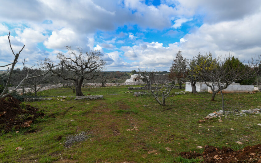 Trulli + Progetto Villa nuova in Ostuni
