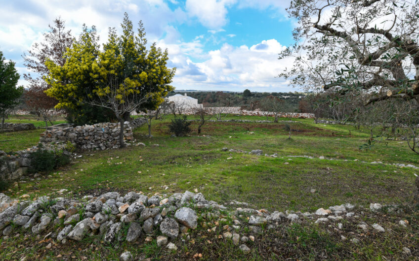 Trulli + Progetto Villa nuova in Ostuni