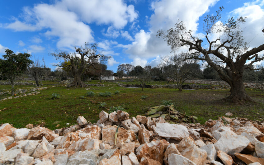 Trulli + Progetto Villa nuova in Ostuni