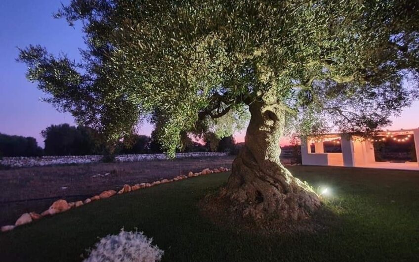Villa in vendita con trulli e piscina ,c/da San Benedetto, Ostuni