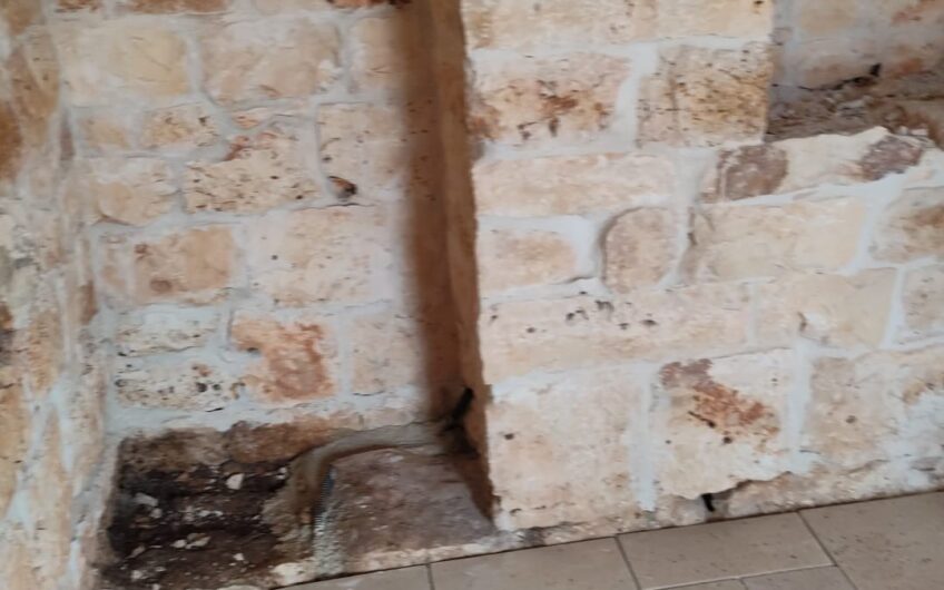 Villa di nuova costruzione con piscina e trullo, contrada San Benedetto, Ostuni